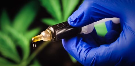 High grade cannabis oil